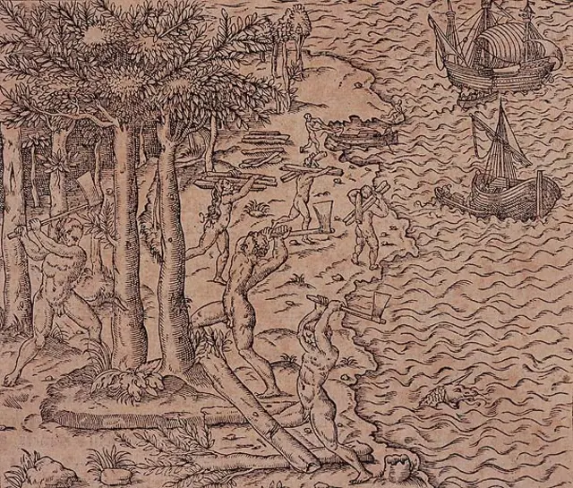 A derrubada do pau-brasil — André Thevet, 1557