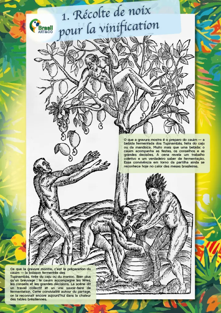 Récolte de noix pour la vinification — painel da exposição Brasil Art&Co