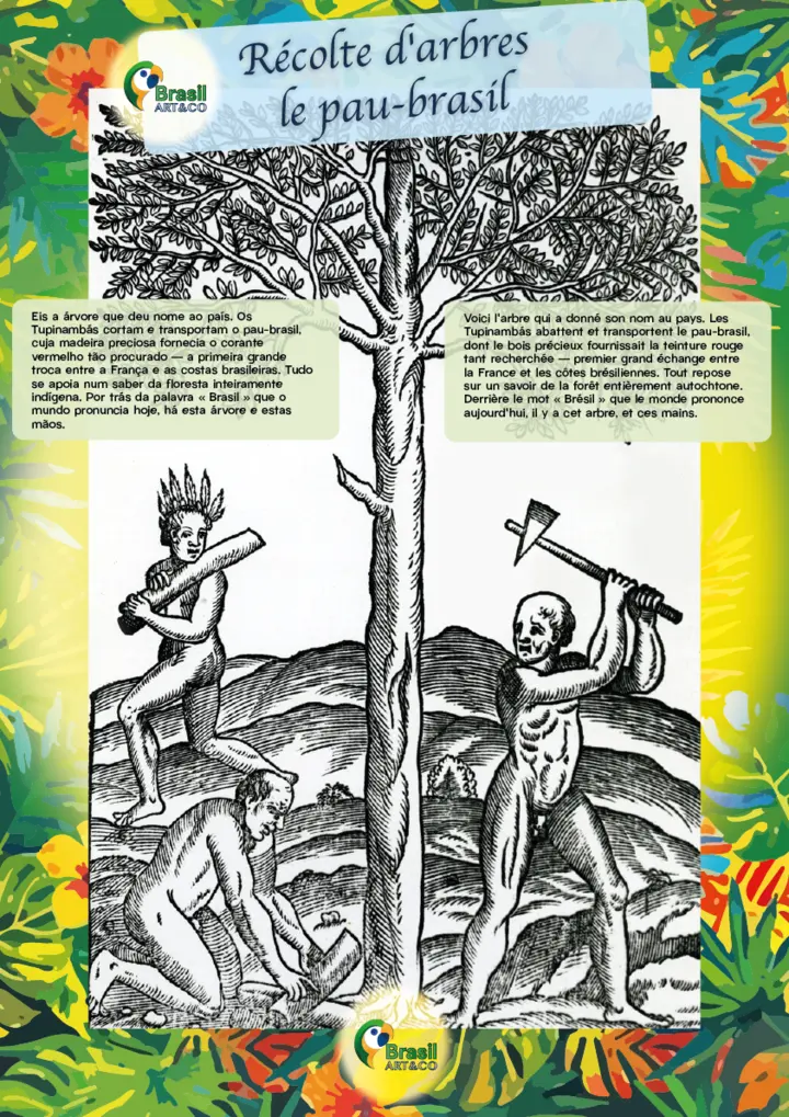 Récolte d’arbres — le pau-brasil — painel da exposição Brasil Art&Co